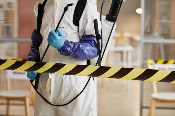 Professional Blood Cleanup technician working in Olney, TX